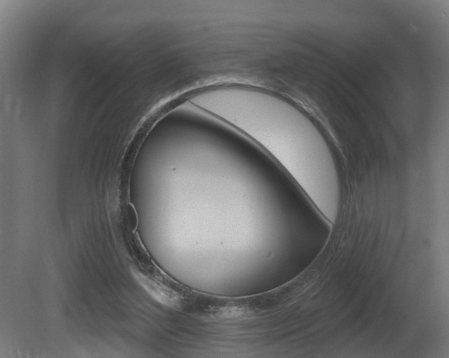 X0000081400204200701111242