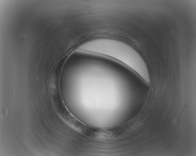 X0000081400215200701111242