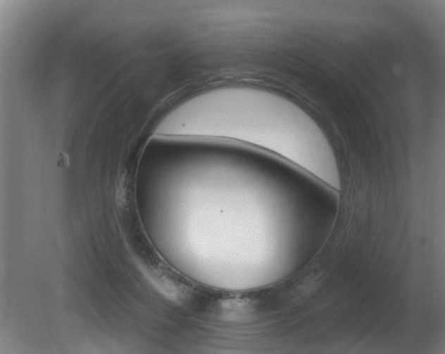 X0000081400216200701111242