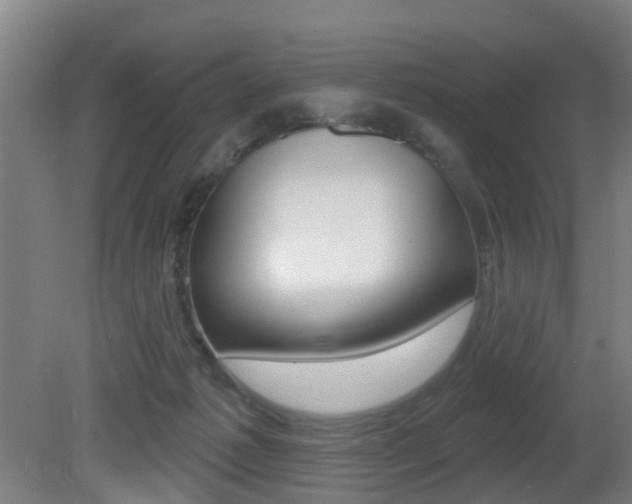 X0000081400221200701111241