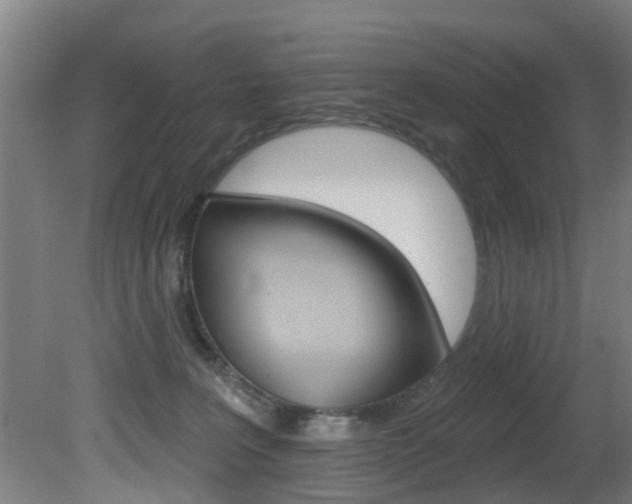 X0000081400227200701111241
