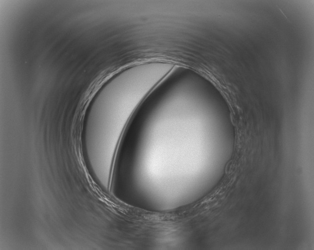 X0000081400241200701111240