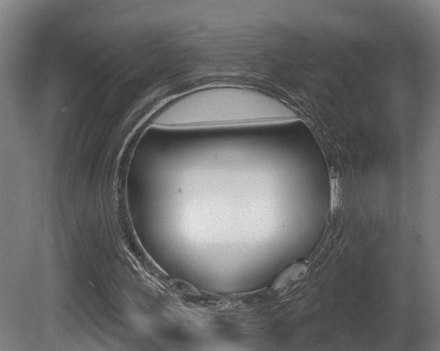X0000081400243200701111240