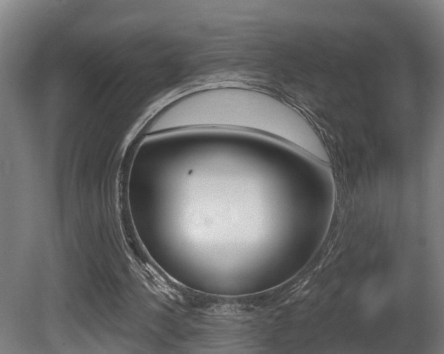 X0000081400244200701111240