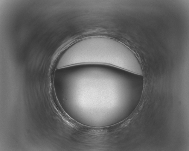 X0000081400245200701111240