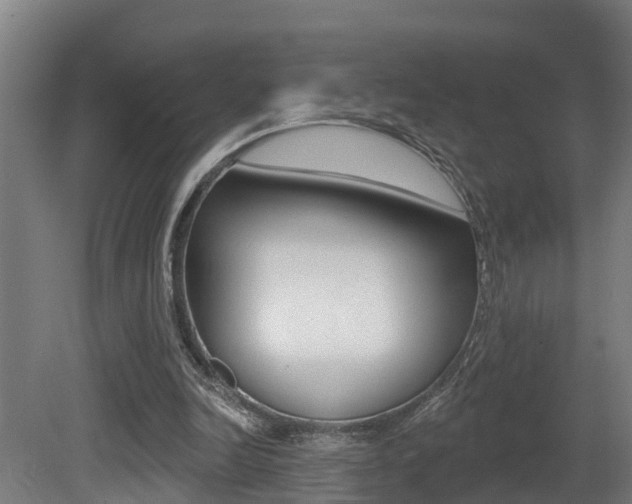 X0000081400246200701111240