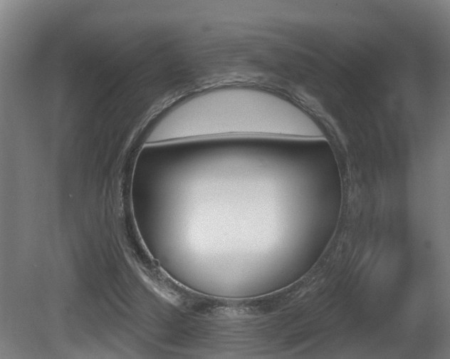 X0000081400250200701111240