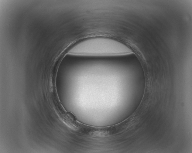 X0000081400251200701111240