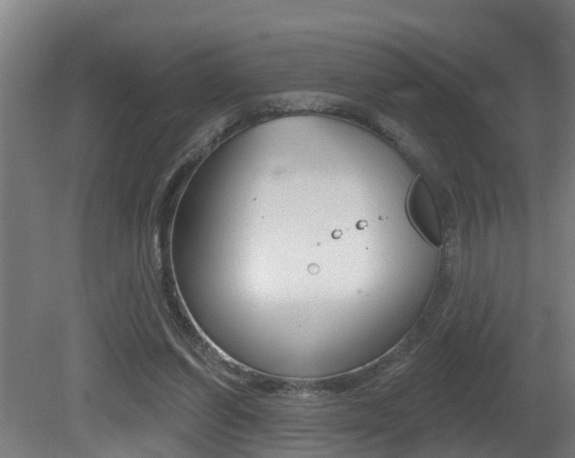 X0000081400254200701111241