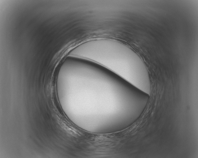 X0000081400290200701111240