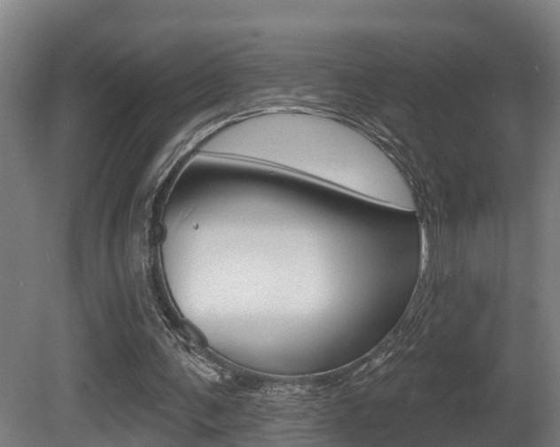 X0000081400291200701111240