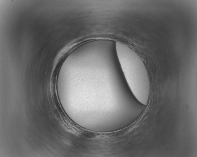 X0000081400294200701111240