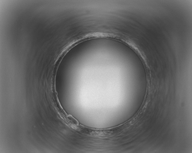 X0000081400297200701111240