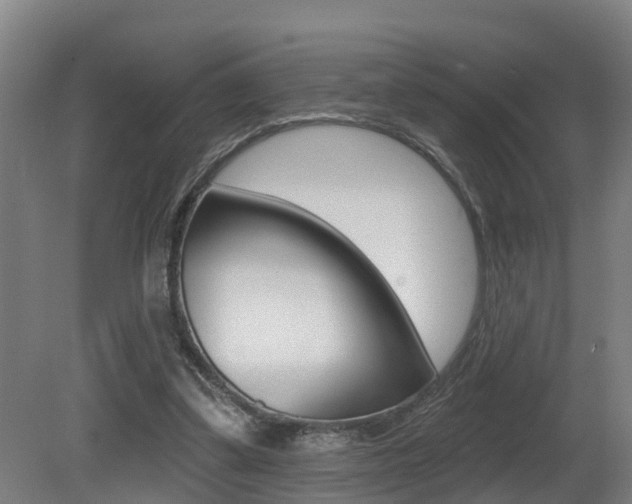 X0000081400299200701111240