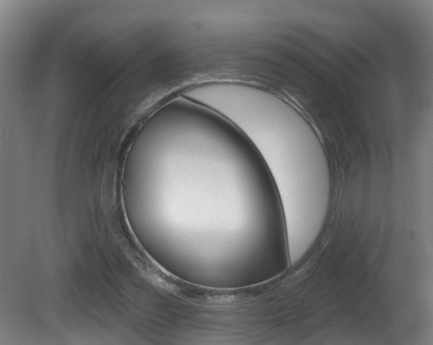X0000081400301200701111240
