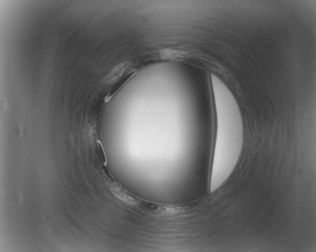 X0000081400329200701111240