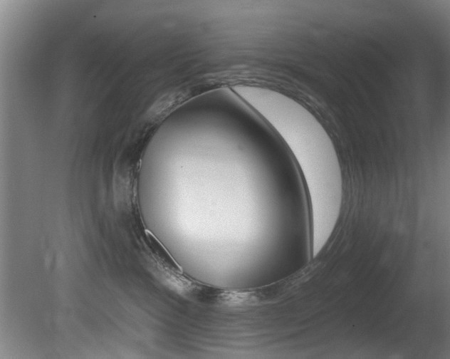 X0000081400333200701111240
