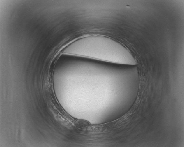 X0000081400338200701111239