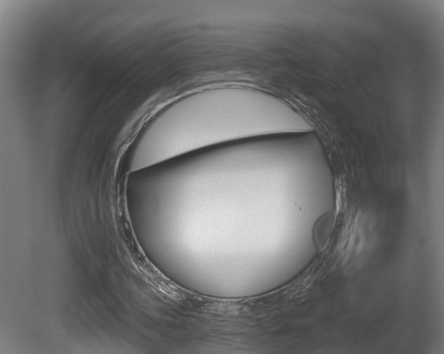X0000081400339200701111239