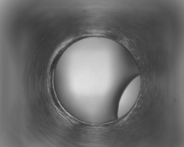 X0000081400342200701111239