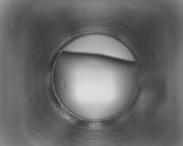 X0000081400355200701111239