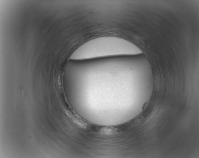 X0000081400375200701111239
