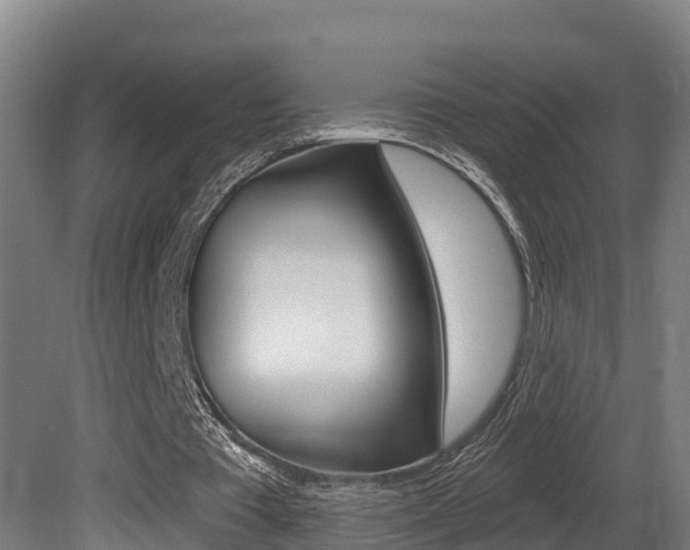 X0000081400385200701111239