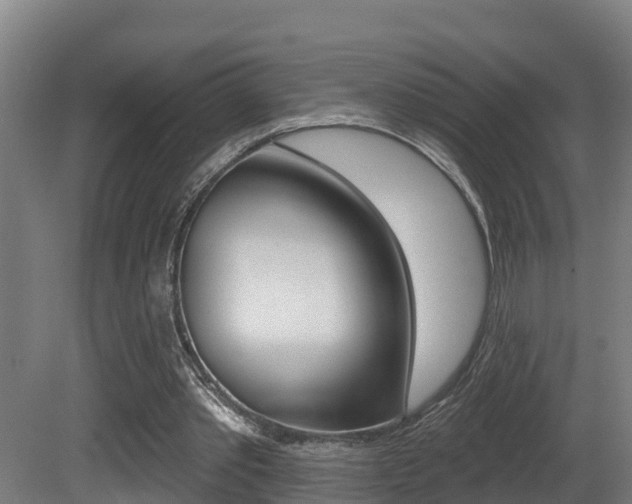 X0000081400389200701111239