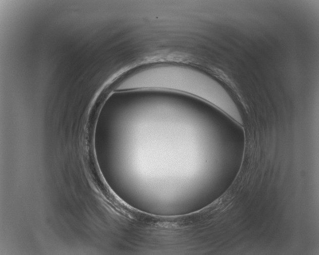 X0000081400392200701111239
