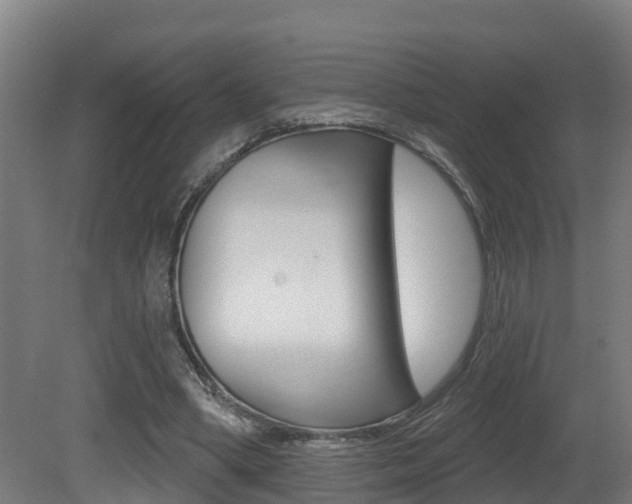 X0000081400394200701111239