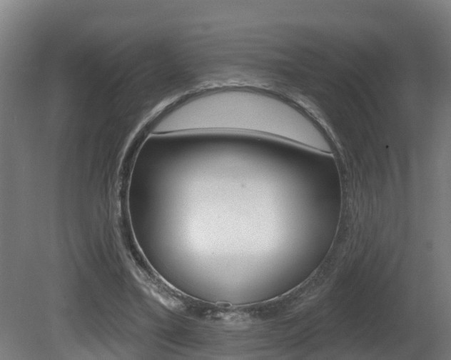 X0000081400395200701111238