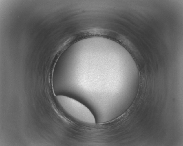 X0000081400398200701111238