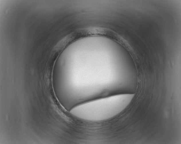 X0000081400402200701111238