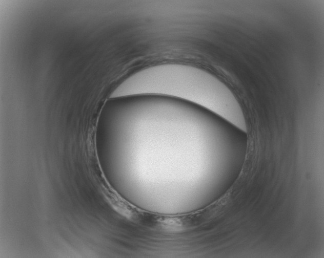X0000081400409200701111238