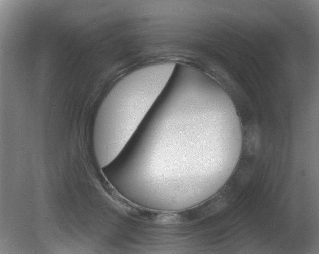 X0000081400410200701111238