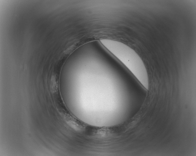 X0000081400420200701111238