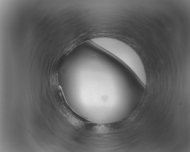 X0000081400425200701111238
