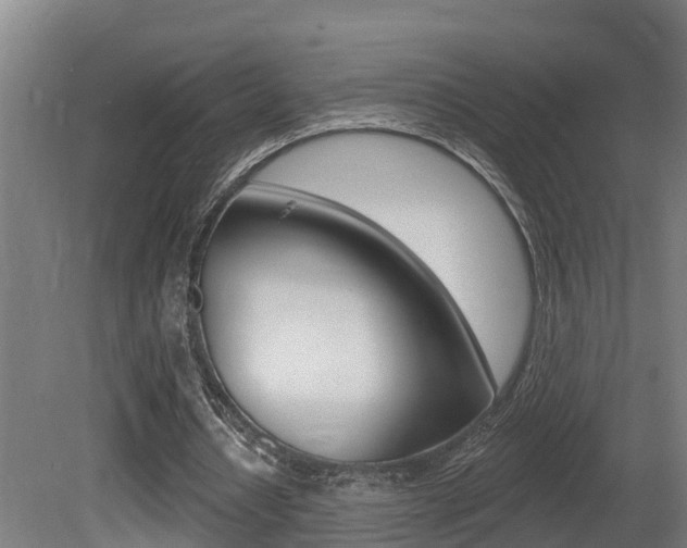X0000081400434200701111237