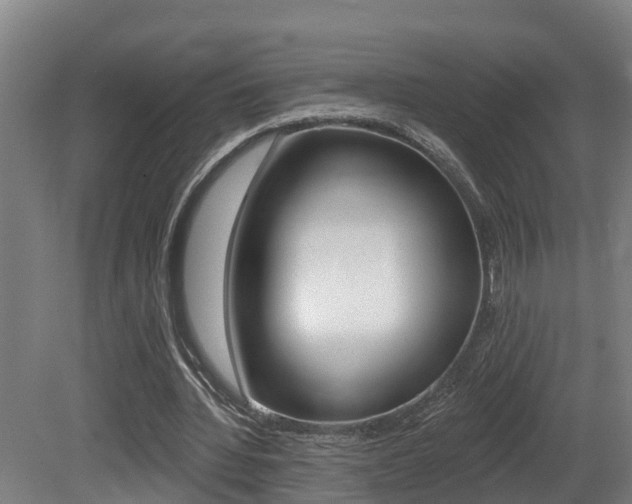 X0000081400436200701111237