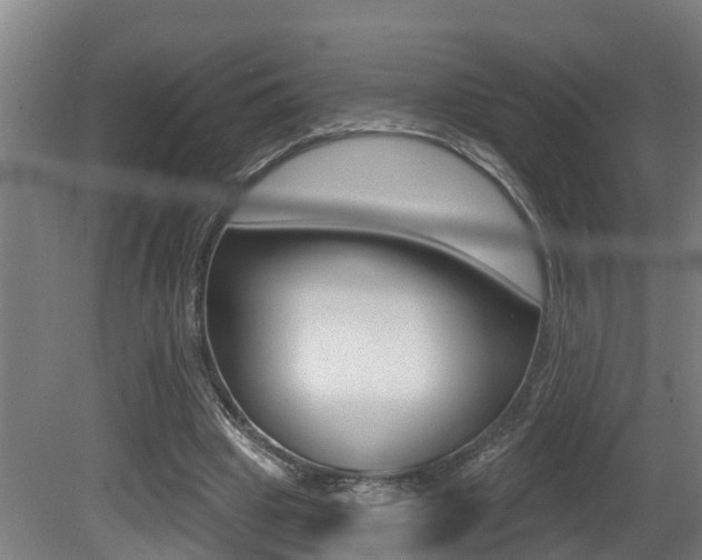 X0000081400441200701111237