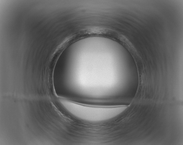 X0000081400444200701111237