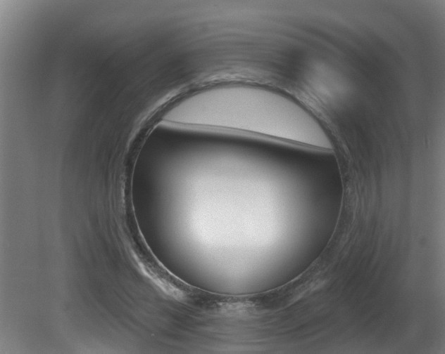 X0000081400446200701111237