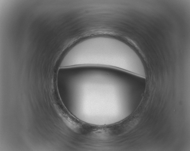 X0000081400447200701111237
