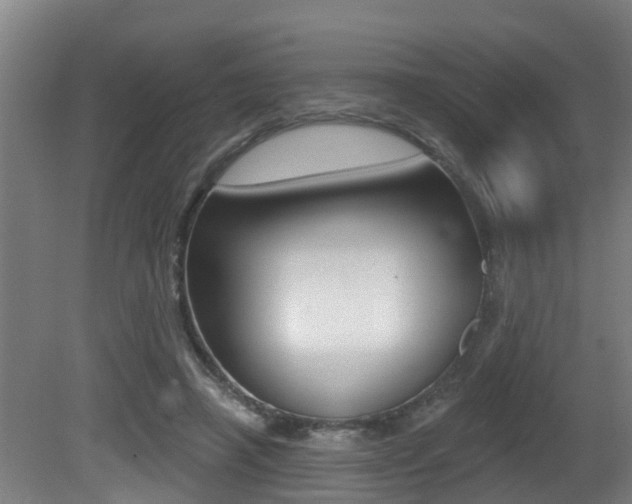 X0000081400450200701111237