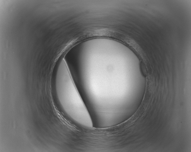 X0000081400482200701111237