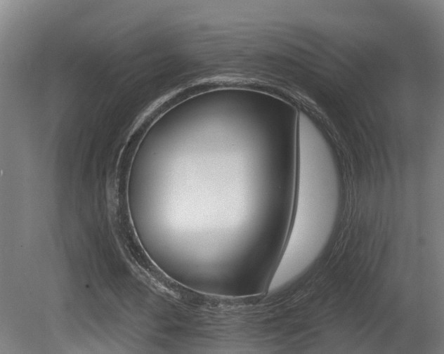 X0000081400484200701111237