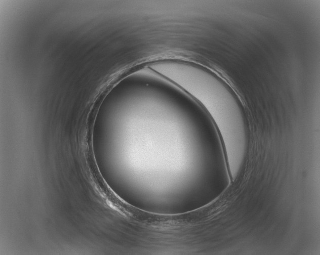 X0000081400485200701111237