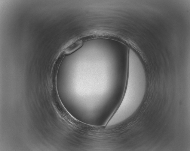 X0000081400488200701111237
