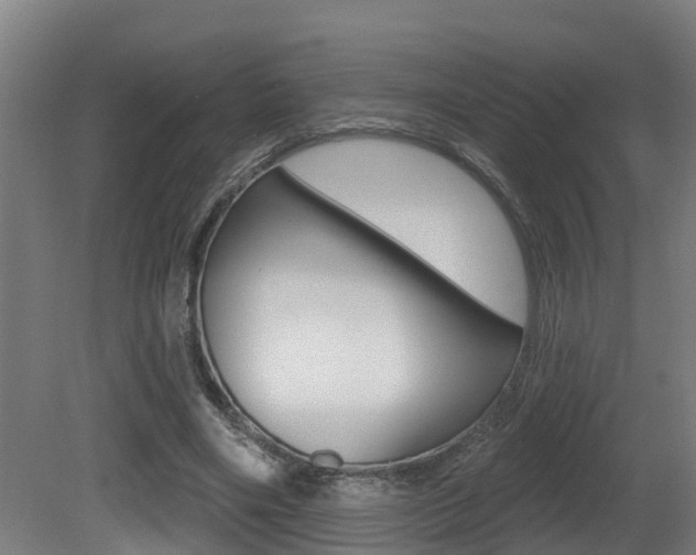 X0000081400490200701111237