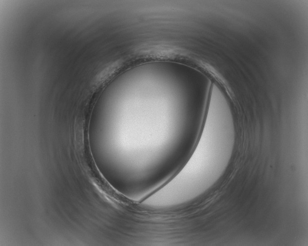 X0000081400493200701111237